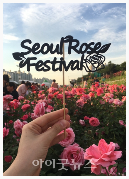 스마트쉼문화운동본부가 오는 13일 2023 서울장미축제의 시작을 알리는 행사로 중랑 장미공원에서 걷기대회를 진행한다.